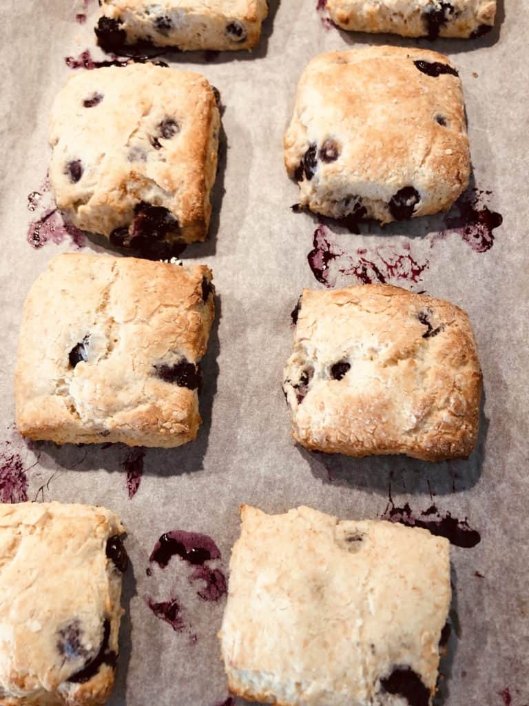 Delicious and easy blueberry scones freshly baked and ready for afternoon tea 