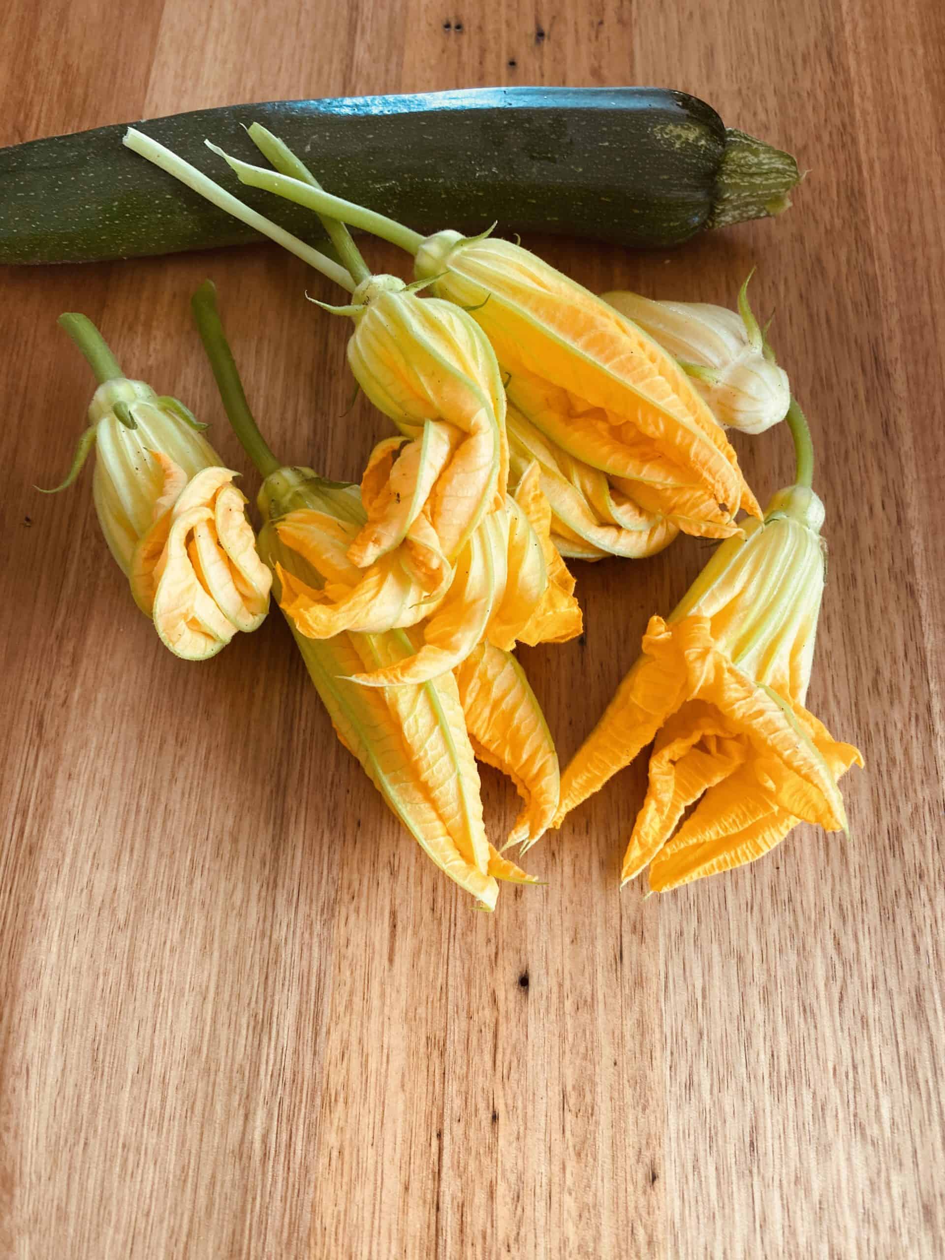 Crispy Stuffed Zucchini Flowers with Ricotta and walnuts